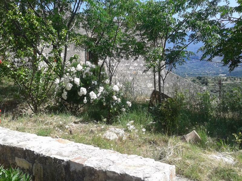 Petra & Elia Villa Megala Chorafia Buitenkant foto