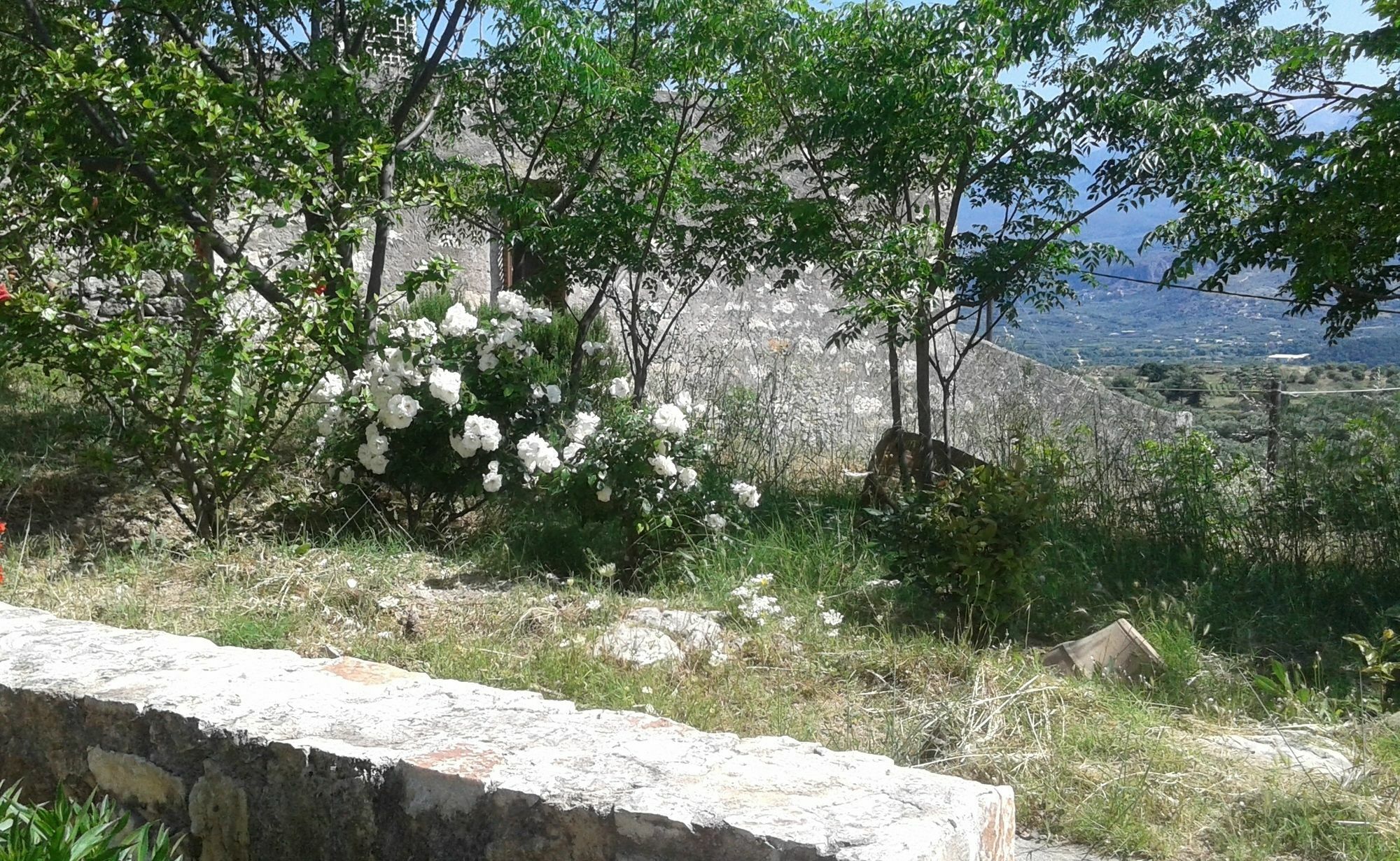 Petra & Elia Villa Megala Chorafia Buitenkant foto