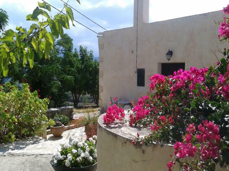 Petra & Elia Villa Megala Chorafia Buitenkant foto