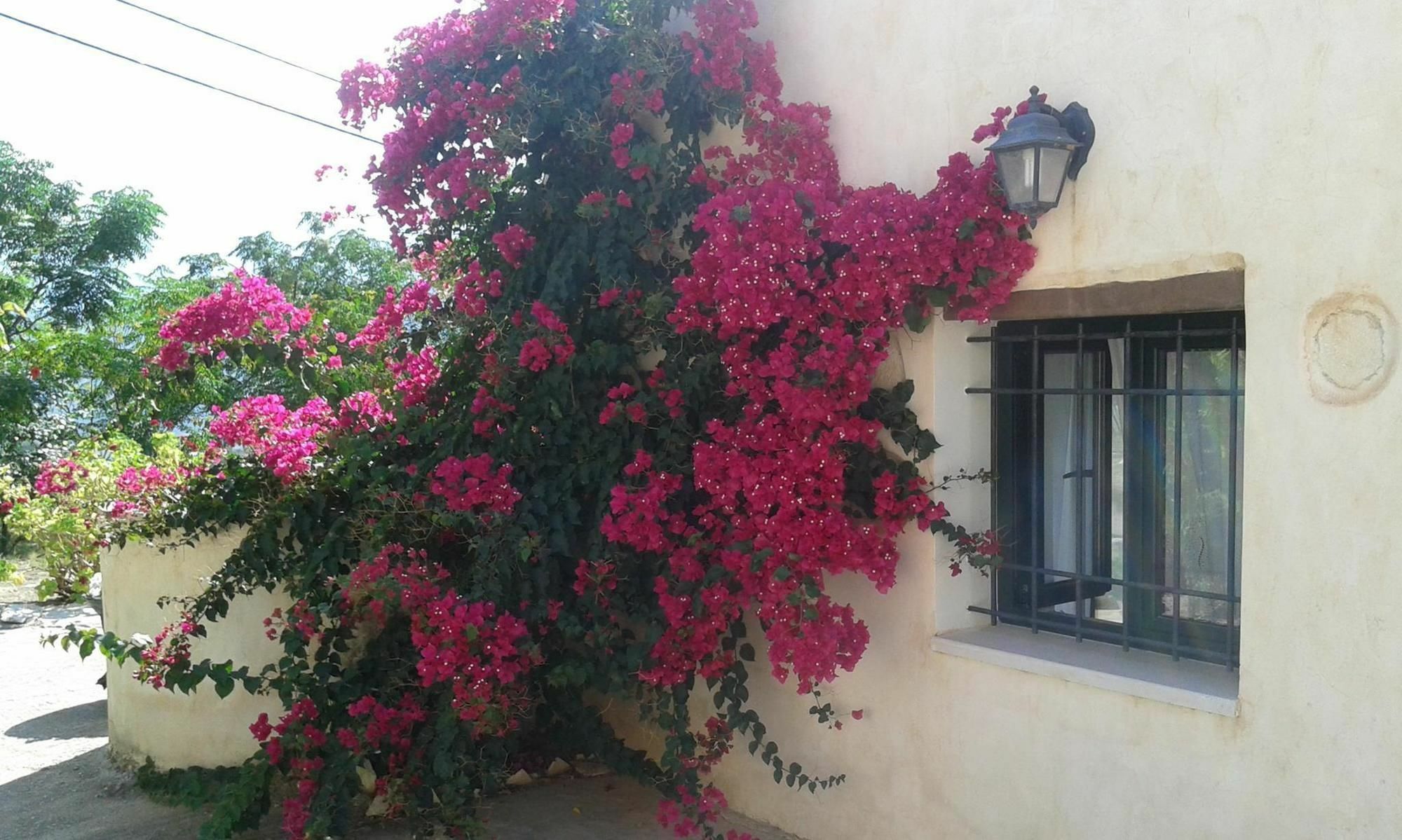 Petra & Elia Villa Megala Chorafia Buitenkant foto