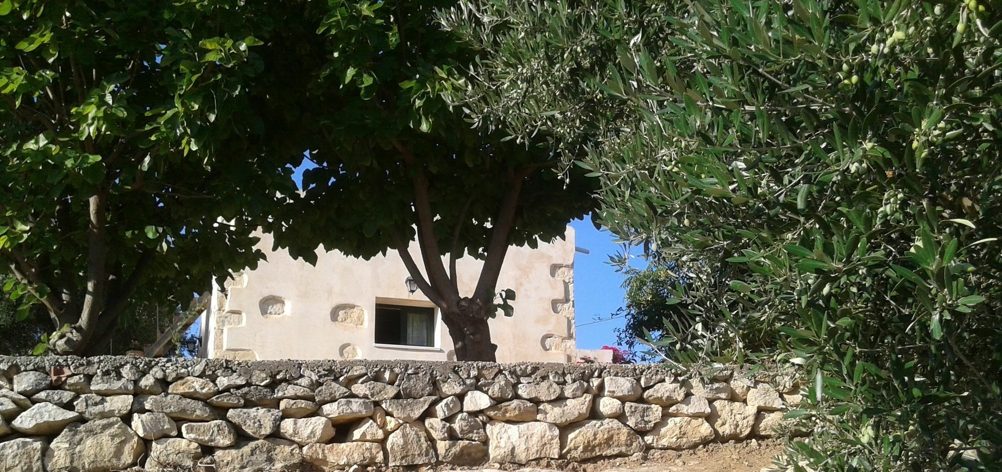 Petra & Elia Villa Megala Chorafia Buitenkant foto